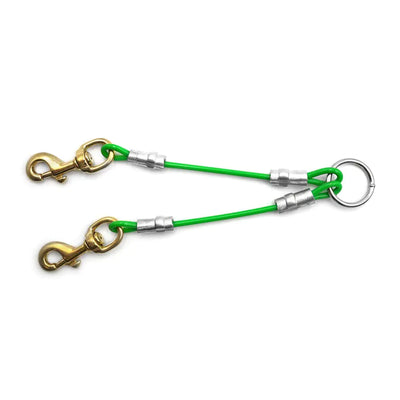 Dog Couple Leash