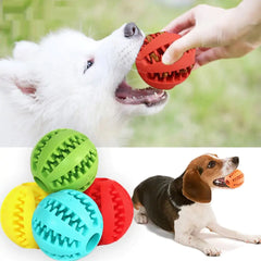 Dog Feeder Toy