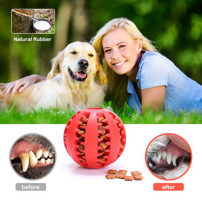 Dog Feeder Toy